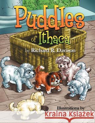 Puddles of Ithaca Richard R. Davison 9781465396952 Xlibris Corporation