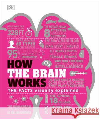 How the Brain Works: The Facts Visually Explained DK 9781465489791 DK Publishing (Dorling Kindersley)