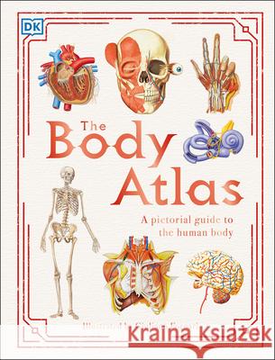 The Body Atlas: A Pictorial Guide to the Human Body DK                                       Giuliano Fornarni 9781465490964 DK Publishing (Dorling Kindersley)