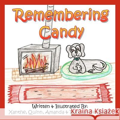 Remembering Candy: Helping your child cope with the loss of their own pet. Van Der Gulik, Rob 9781466262102 Createspace
