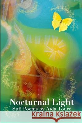 Nocturnal Light: Sufi Poems Aida Toure 9781466267381