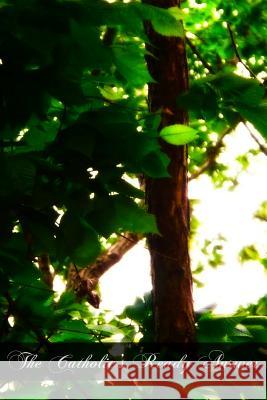 The Catholic's Ready Answer Rev M. P. Hil 9781466316737 Createspace