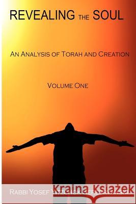 Revealing the Soul - Volume One: An Analysis of Torah and Creation Rabbi Yosef Yitzchok Serebryanski 9781466317154 Createspace