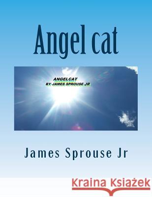 Angel cat: Angelcat book of beginning Sprouse Jr, James 9781466322523 Createspace