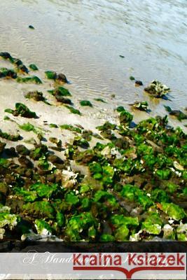 A Handbook Of Patrology Tixeront DD, J. 9781466370203 Createspace