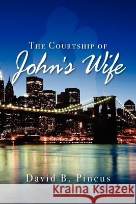 The Courtship of Johns' Wife MR David B. Pincus 9781466370371