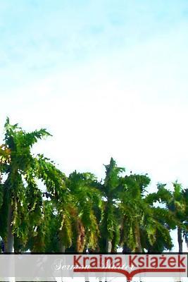 Sermon Matter Rev Ferreol Girarde 9781466383586 Createspace