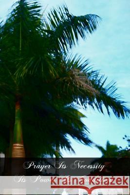 Prayer Its Necessity Its Power Its Conditions Rev Ferreol Girarde 9781466383630 Createspace