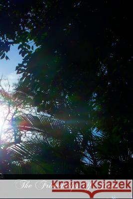 The Friendships Of Jesus Ollivier O. P., M. J. 9781466427334 Createspace