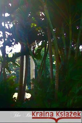 The Business Of Salvation Otten S. J., Bernard J. 9781466427488 Createspace