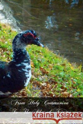 From Holy Communion To The Blessed Trinity Bernadot O. P., M. V. 9781466485396 Createspace