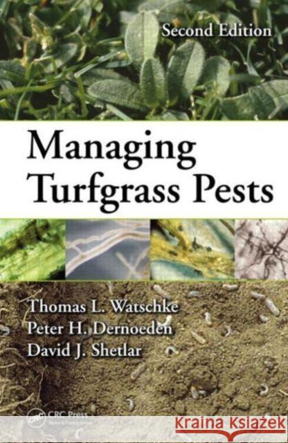 Managing Turfgrass Pests Thomas L. Watschke Peter H. Dernoeden David J. Shetlar 9781466555075 CRC Press