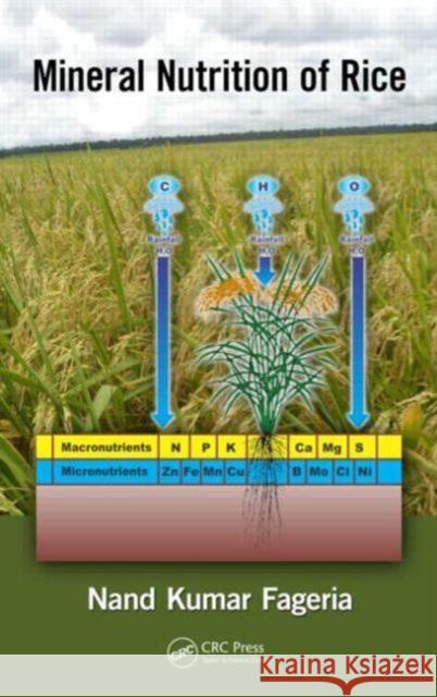 Mineral Nutrition of Rice. Nand Kumar Fageria Fageria, N. K. 9781466558069