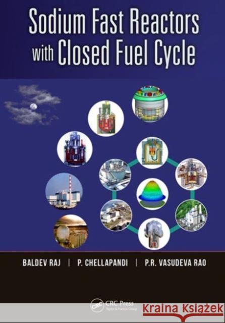 Sodium Fast Reactors with Closed Fuel Cycle Baldev Raj P. Chellapandi P. R. Vasudev 9781466587670 CRC Press
