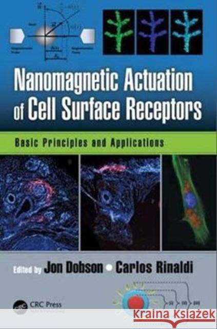 Nanomagnetic Actuation in Biomedicine: Basic Principles and Applications Jon Dobson 9781466591219 CRC Press