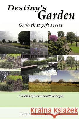 Destiny's Garden: Grab That Gift Series a Crushed Life Can Be Smoothened Again Moronfolu, Christiana T. 9781466946460 Trafford Publishing