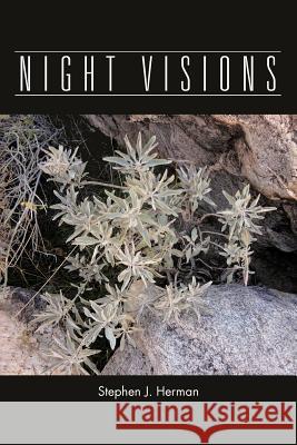 Night Visions Stephen J. Herman 9781466958456