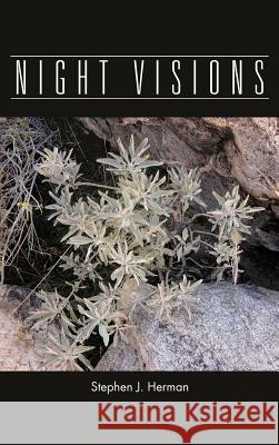 Night Visions Stephen J. Herman 9781466958463