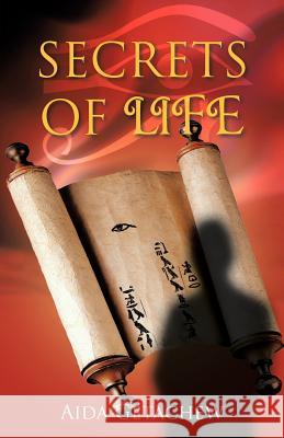 Secrets of Life Aida Getachew 9781466970113 Trafford Publishing