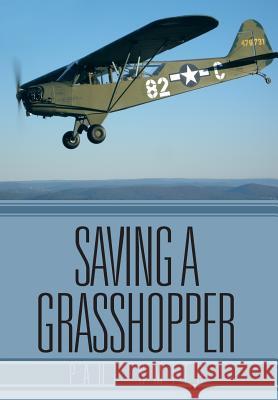 Saving a Grasshopper Paul Smith 9781466975668 Trafford Publishing