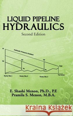 Liquid Pipeline Hydraulics: Second Edition Menon, E. Shashi 9781466977419 Trafford Publishing