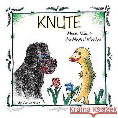 Knute: Meets Mike in the Magical Meadow Auntie Annie 9781466997806 Trafford Publishing