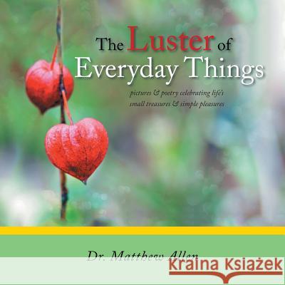 The Luster of Everyday Things: Pictures & Poetry Celebrating Life's Small Treasures & Simple Pleasures Dr Matthew Allen 9781466999794 Trafford Publishing
