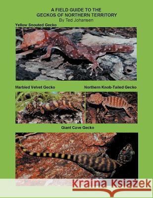 A Field Guide to the Geckos of Northern Territory Ted Johansen 9781467001120