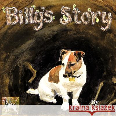 Billy's Story Joe France 9781467008396