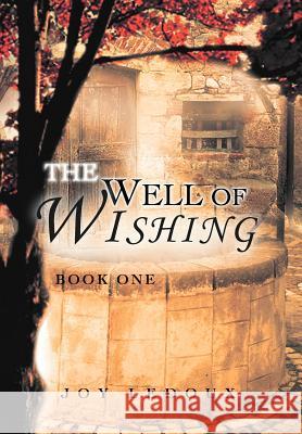 The Well of Wishing: Book One LeDoux, Joy 9781467043410