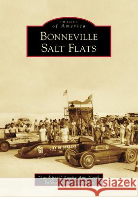 Bonneville Salt Flats 