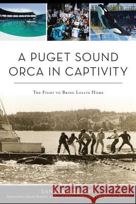 A Puget Sound Orca in Captivity: The Fight to Bring Lolita Home Sandra Pollard 9781467140379 History Press