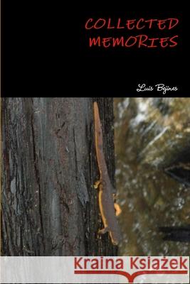 Collected Memories Luis Bejines 9781467580922 Luis Bejines
