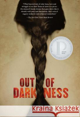 Out of Darkness Ashley Hope Paerez Ashley P'Rez 9781467742023 Carolrhoda Books