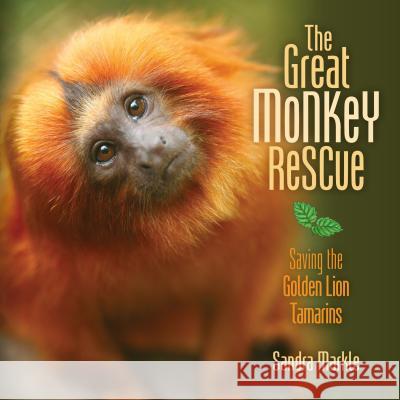 The Great Monkey Rescue: Saving the Golden Lion Tamarins Sandra Markle 9781467780308 Millbrook Press