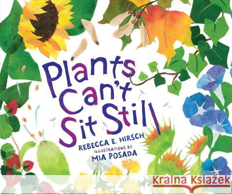Plants Can't Sit Still Rebecca E. Hirsch Mia Posada 9781467780315 Millbrook Press