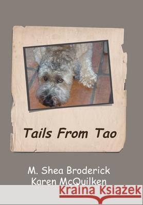 Tails from Tao M. Shea Broderick Karen McQuilken 9781467873758