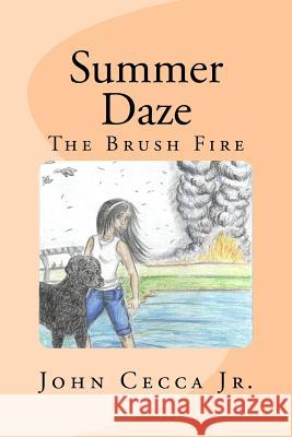 Summer Daze: The Brush Fire David B. Tick Jennifer Sao MS June Krinsky-Rudder 9781467917346