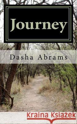 Journey Dasha Abrams 9781467942300