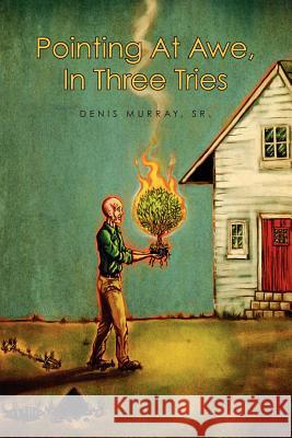 Pointing At Awe, In Three Tries Murray Sr, Denis 9781467988001 Createspace
