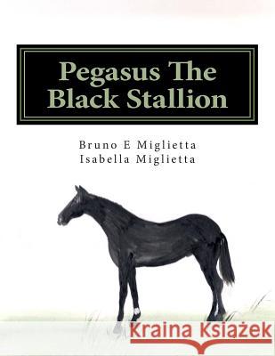 Pegasus The Black Stallion Miglietta, Isabella 9781468021103 Createspace