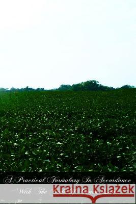 A Practical Formulary In Accordance With The Code Of Canon Law Pietrzyk J. C. D., Stanley 9781468141887 Createspace