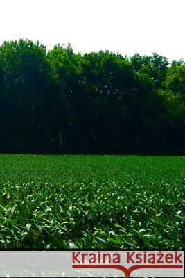 Wedlock C. C. Martindal 9781468142822 Createspace