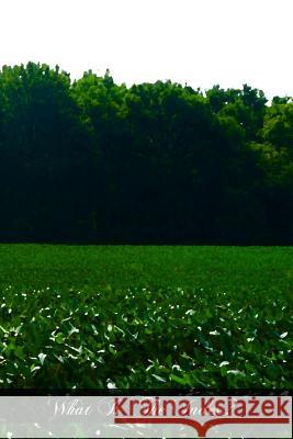 What Is The Index? Burke C. S. V. Ph. D., Redmond a. 9781468142846 Createspace