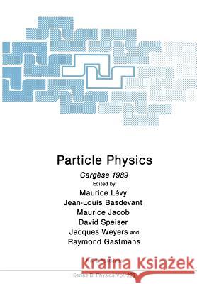 Particle Physics: Cargèse 1989 Lévy, Maurice 9781468457926