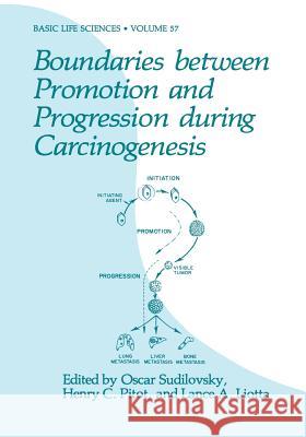 Boundaries Between Promotion and Progression During Carcinogenesis Sudilovsky, Oscar 9781468459968 Springer