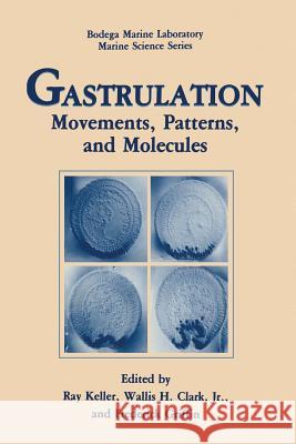 Gastrulation: Movements, Patterns and Molecules Keller, Ray 9781468460292 Springer