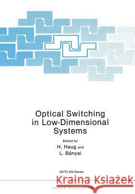 Optical Switching in Low-Dimensional Systems Hartmut Haug L. Banyai 9781468472806 Springer