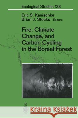 Fire, Climate Change, and Carbon Cycling in the Boreal Forest Eric S. Kasischke Brian J. Stocks 9781468495324 Springer