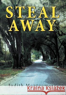 Steal Away Judith Montgomery 9781468546682